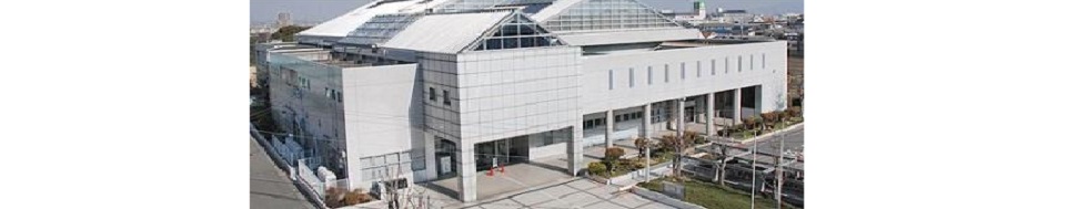 初芝卓球クラブ「あみ～ご」の写真